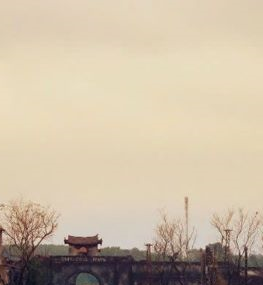 Vì sao Quảng Trị từ chối tiếp nhận phim trường “Mưa đỏ”?