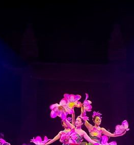 Liên đoàn Xiếc Việt Nam rộn ràng khai xuân với “Ngựa du xuân ba miền”