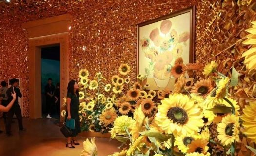Hà Nội: Triển lãm tái hiện 165 kiệt tác bất hủ của Vincent Van Gogh bằng công nghệ hiện đại