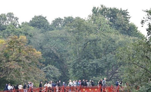 "Festival Thu Hà Nội 2026" giới thiệu Hà Nội mùa Thu qua 9 không gian
