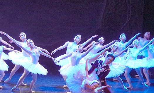 Vở ballet Hồ Thiên Nga tái ngộ với khán giả sau chưa đầy 1 tháng ra mắt