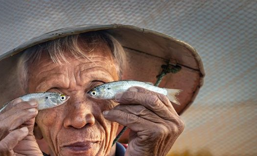 Từ phút giây ngẫu hứng ở Hội An đến đỉnh cao nhiếp ảnh thế giới