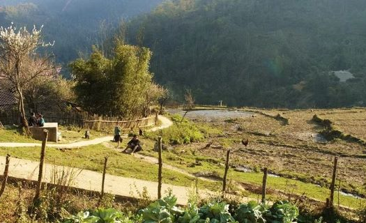 Giới thiệu 17 tác phẩm tiêu biểu của điện ảnh Việt Nam 40 năm đổi mới