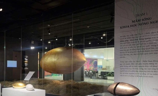 Tọa đàm nghệ thuật "Trong hạt thóc có hạt gạo"